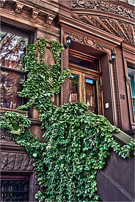 Ivy encroachment hdr  rcc